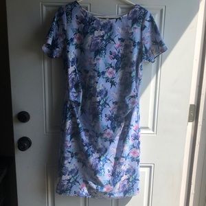 Pinkblush Maternity Dress